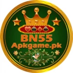 BN55